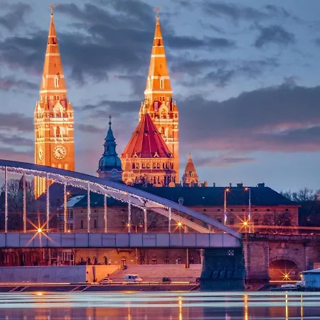 Fluer De Paris By Mital Daire *